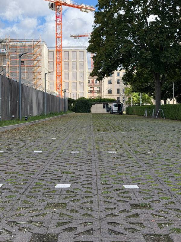 Saisonpflege im Abgeordnetenhaus Berlin